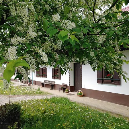 Prlecka Miklavz pri Ormozu